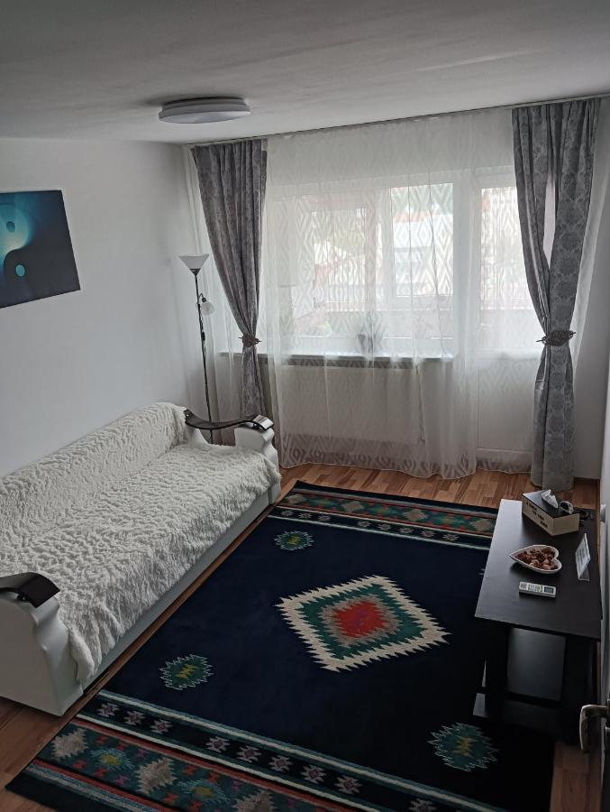 Hellen Apartament Targoviste Exterior photo